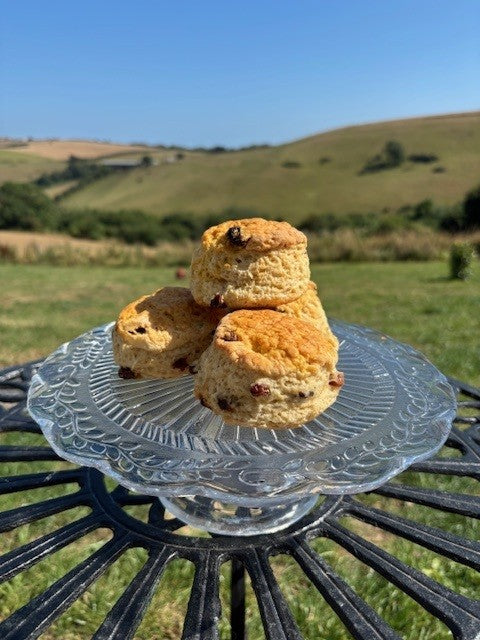 Blakes 4 pack fruit scones