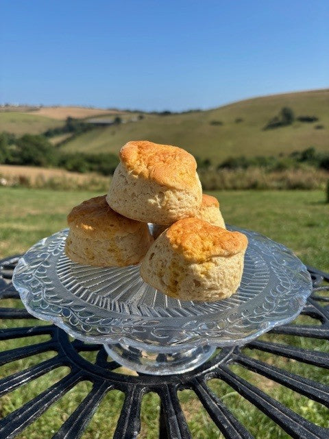 Blakes 4 pack plain scones